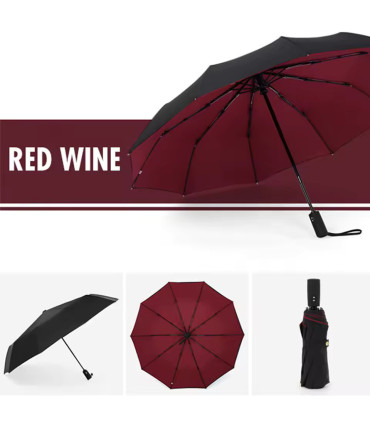 [Blue] Parapluie à double couche entièrement automatique, coupe-vent