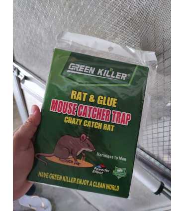 Anti cafard - Plaques Collantes, 3 pcs pièges adhésifs à Rats, Souris