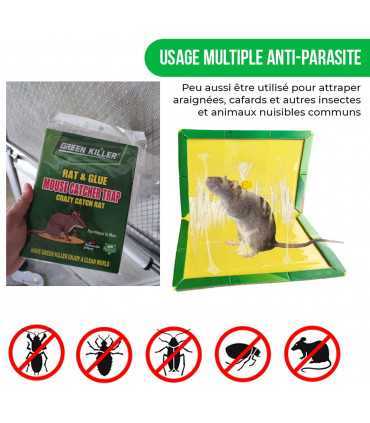 Anti Scarafaggio Piastre Appiccicose, 12 pz Trappola per Ratti, Topo