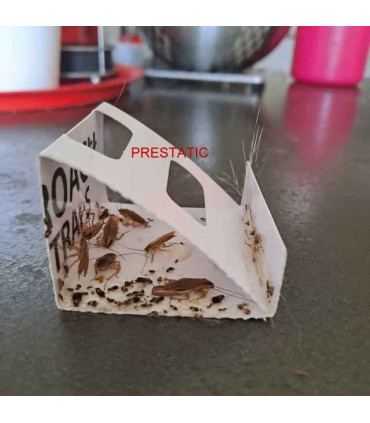 12 pezzi Trappole per scarafaggi | Potente repellente per scarafaggi non tossico | Trappola per scarafaggi