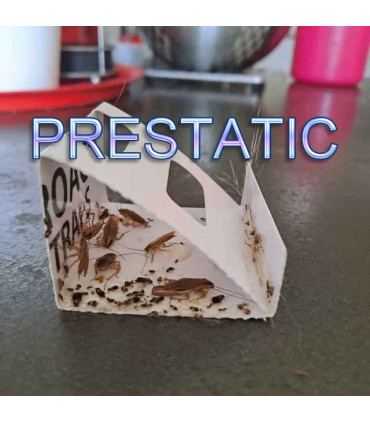 72 Stück Kakerlakenfallen Kleber | Leistungsstarke Anti-Kakerlaken